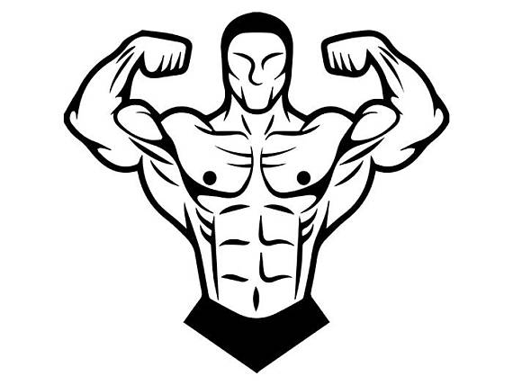 Bodybuilder Drawing at GetDrawings | Free download