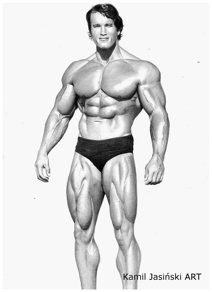 Bodybuilding Drawings By Matt Related Keywords & Suggestions