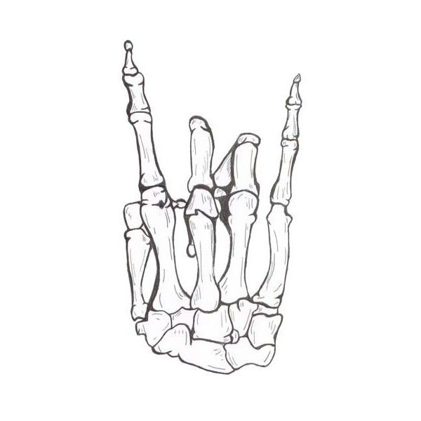 Bone Hand Drawing at GetDrawings | Free download