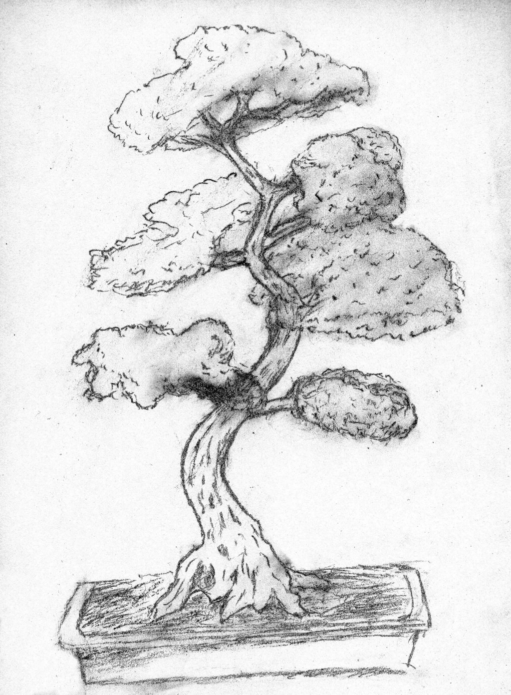 Bonsai Drawing at GetDrawings | Free download