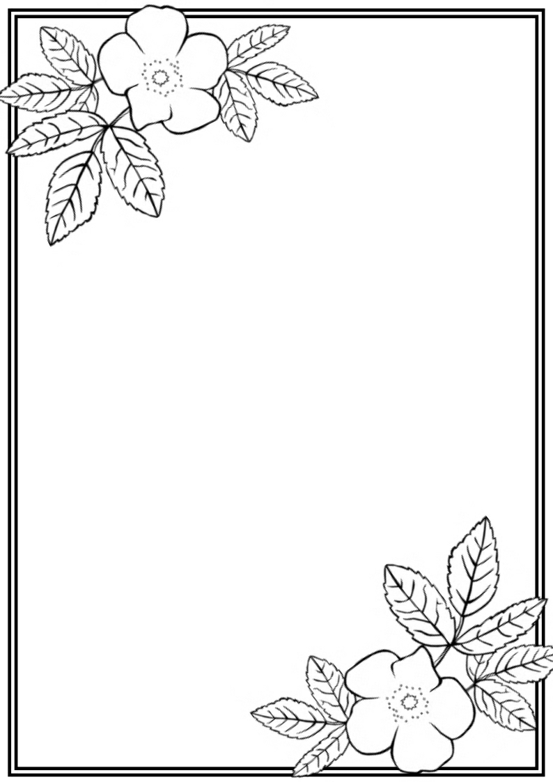 Border Design Drawing At GetDrawings Free Download