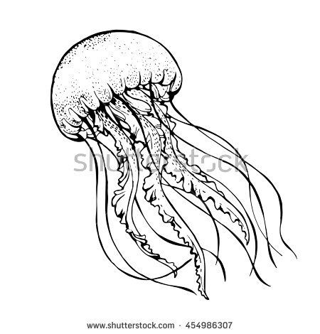 Box Jellyfish Drawing at GetDrawings | Free download