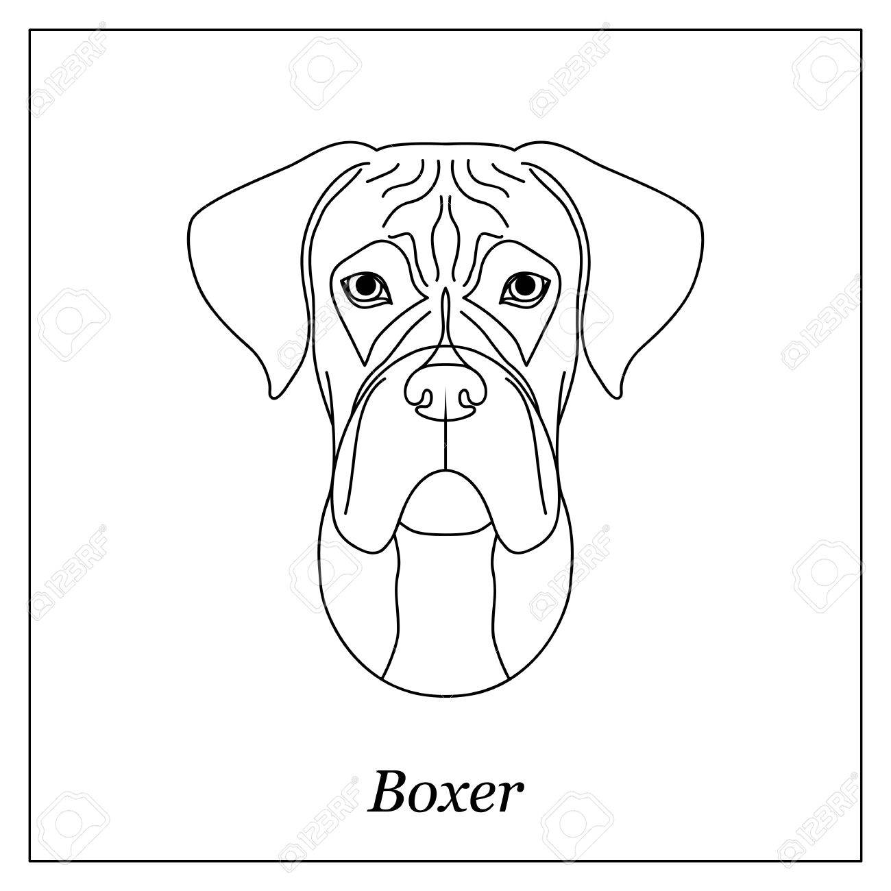 Boxer Dog Line Drawing at GetDrawings Free download