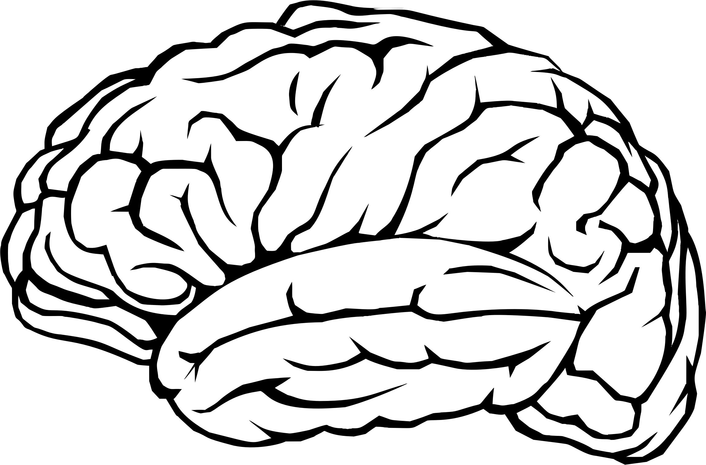 Brain Line Drawing at GetDrawings | Free download