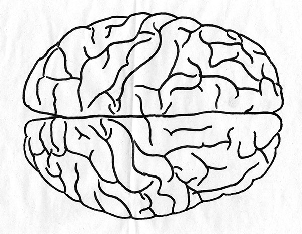 Brain Line Drawing at GetDrawings | Free download