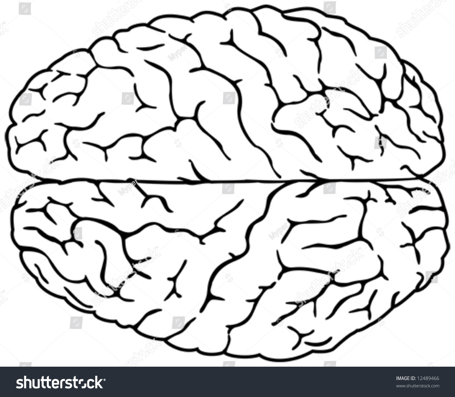 Brain Line Drawing at GetDrawings | Free download