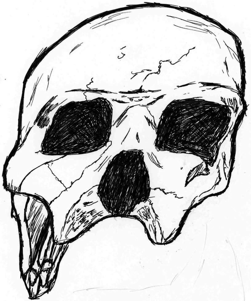 Broken Skull Drawing at GetDrawings Free download