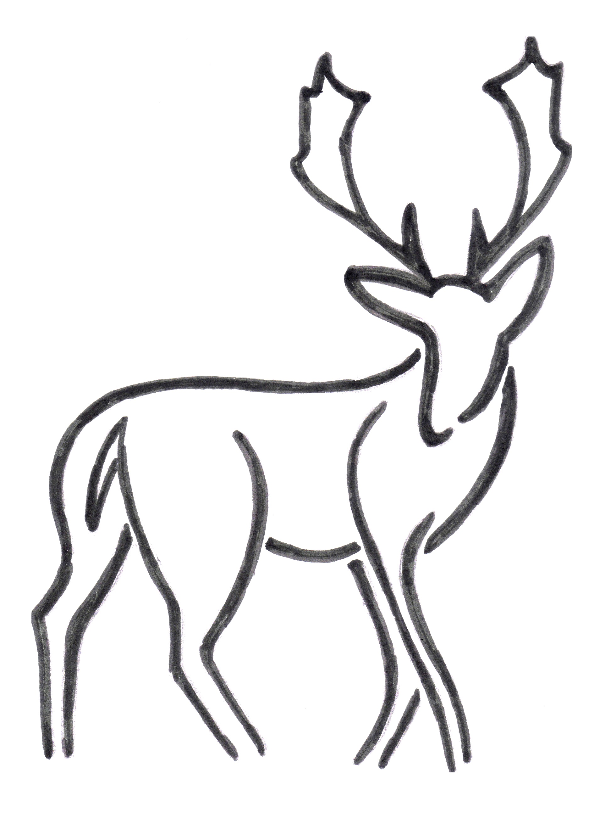 Buck Deer Drawing at GetDrawings Free download