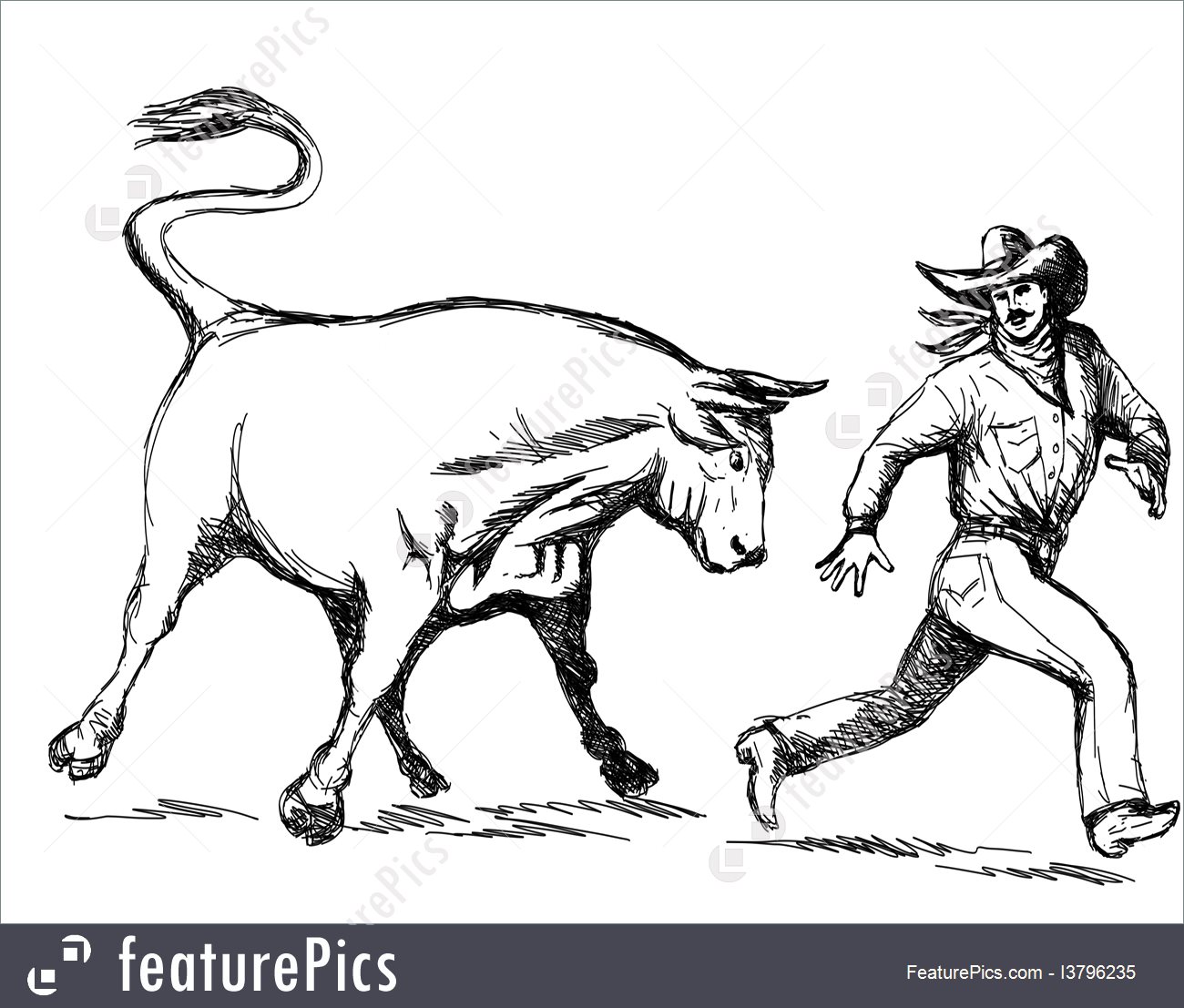 Bucking Bull Drawing at GetDrawings Free download