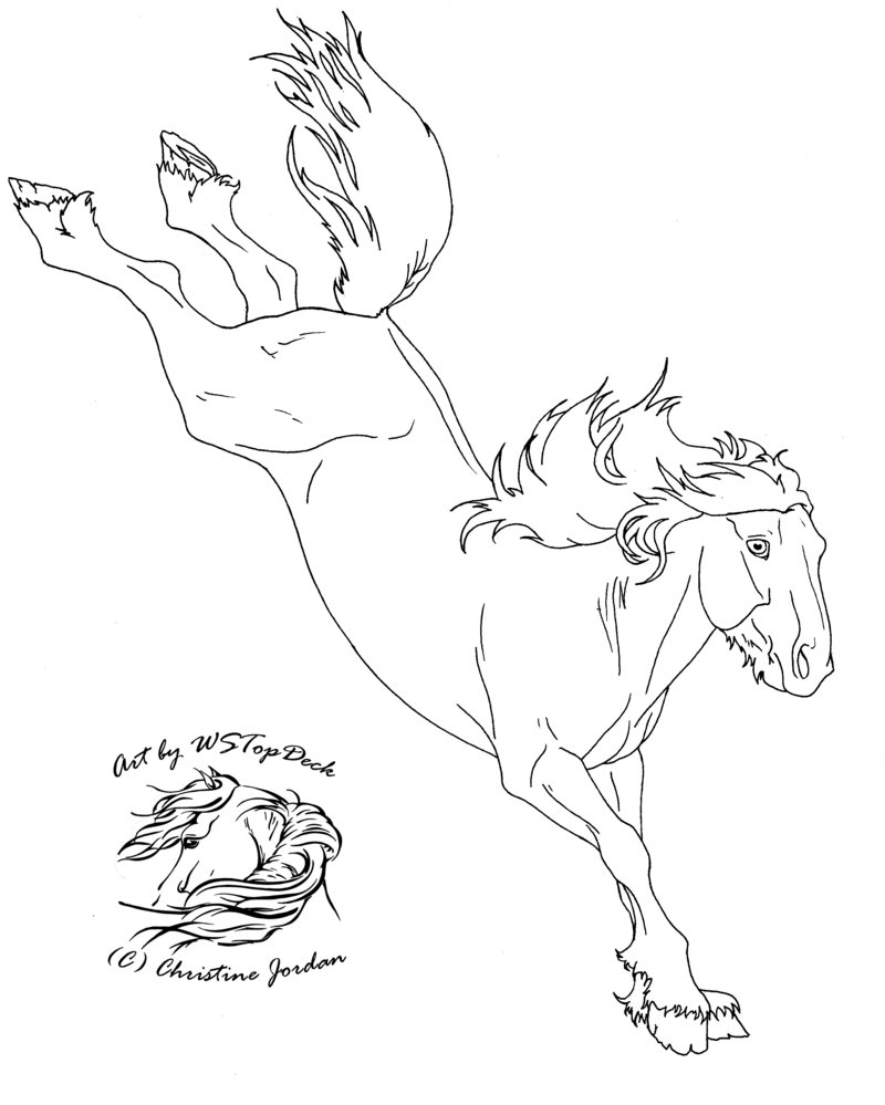 Bucking Horse Drawing at GetDrawings | Free download