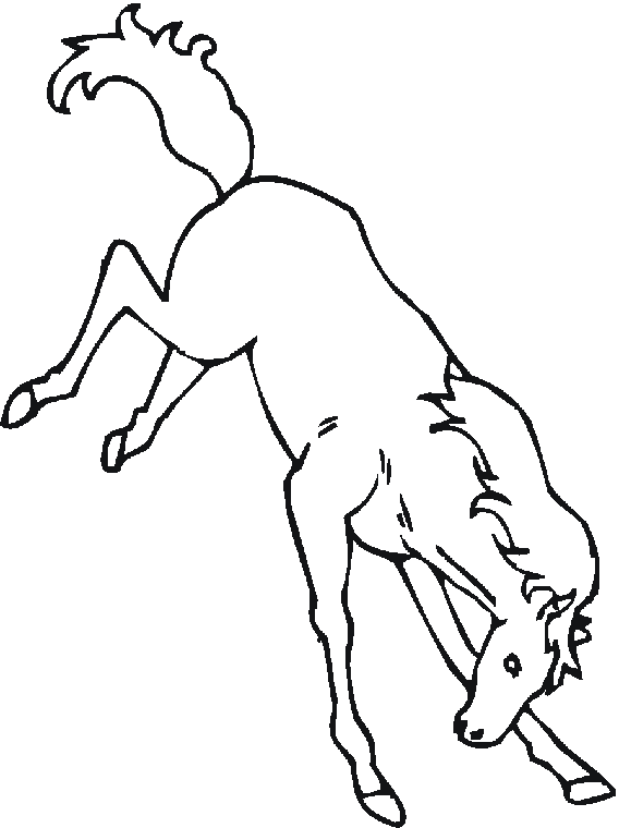 bucking-horse-drawing-at-getdrawings-free-download