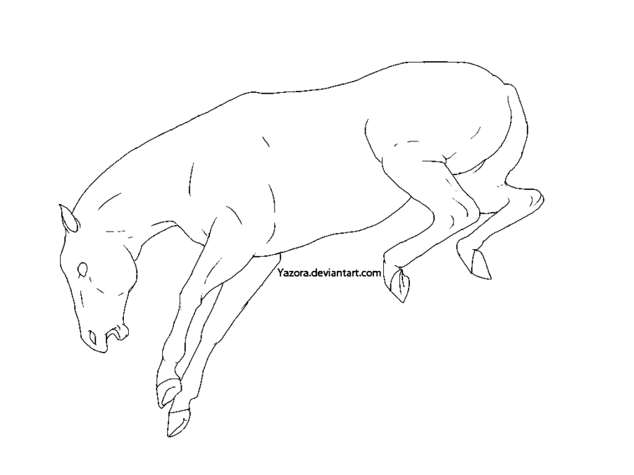 Bucking Horse Drawing at GetDrawings Free download