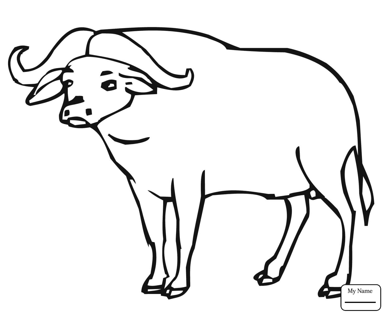 Африканский буйвол раскраска
