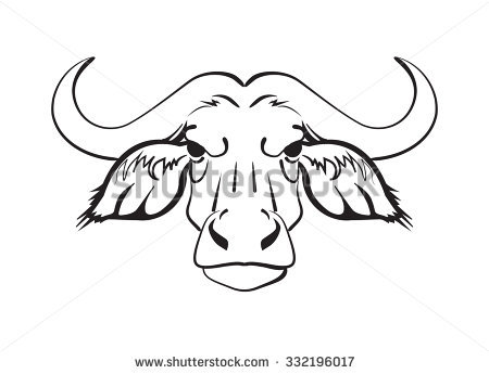 Buffalo Head Drawing at GetDrawings | Free download