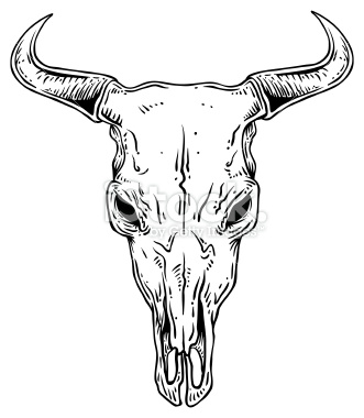 Buffalo Skulls Drawing at GetDrawings | Free download