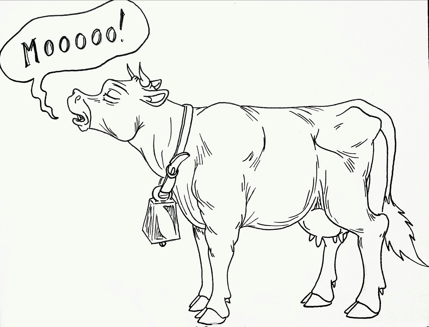 Польская корова рисунок