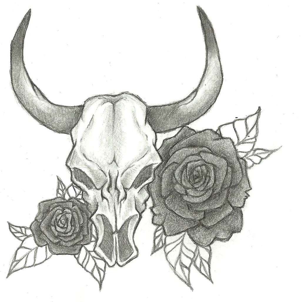 Bull Head Drawing at GetDrawings | Free download