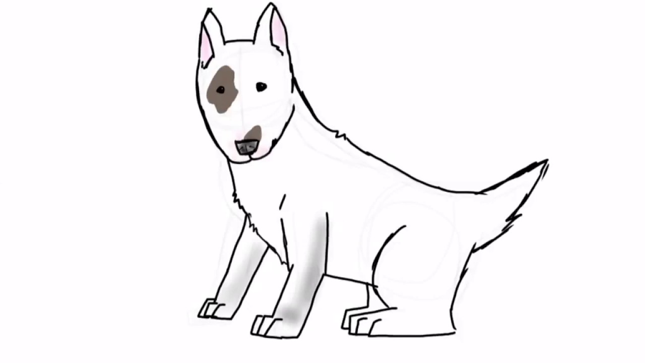 Bull Terrier Drawing at GetDrawings | Free download