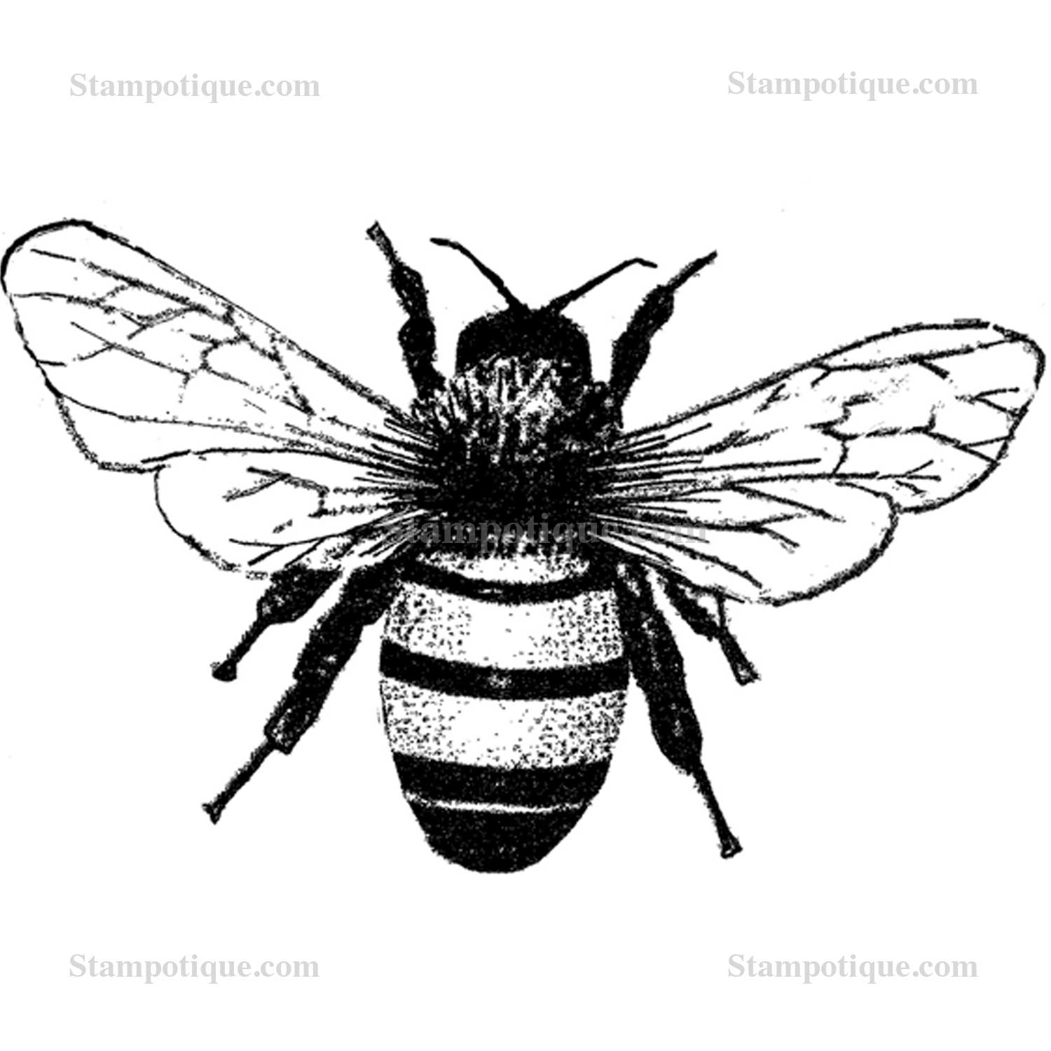 bumble bee drawing