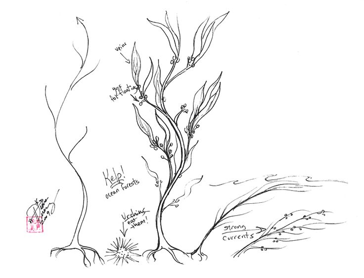 Bushes Sketch at PaintingValley.com | Explore collection of Bushes Sketch