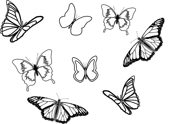 Butterflies Flying Drawing At GetDrawings | Free Download