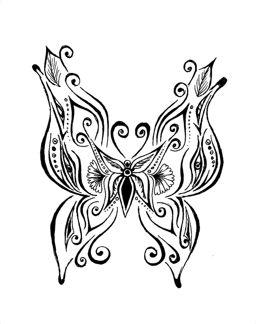 download butterfly drawing