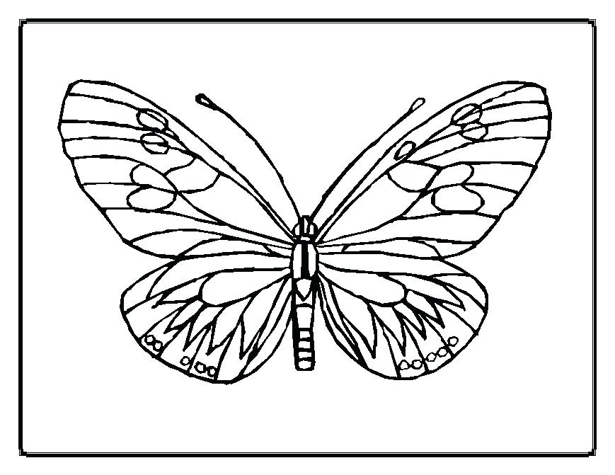 The Best Free Butterfly Drawing Images. Download From 5256 Free 