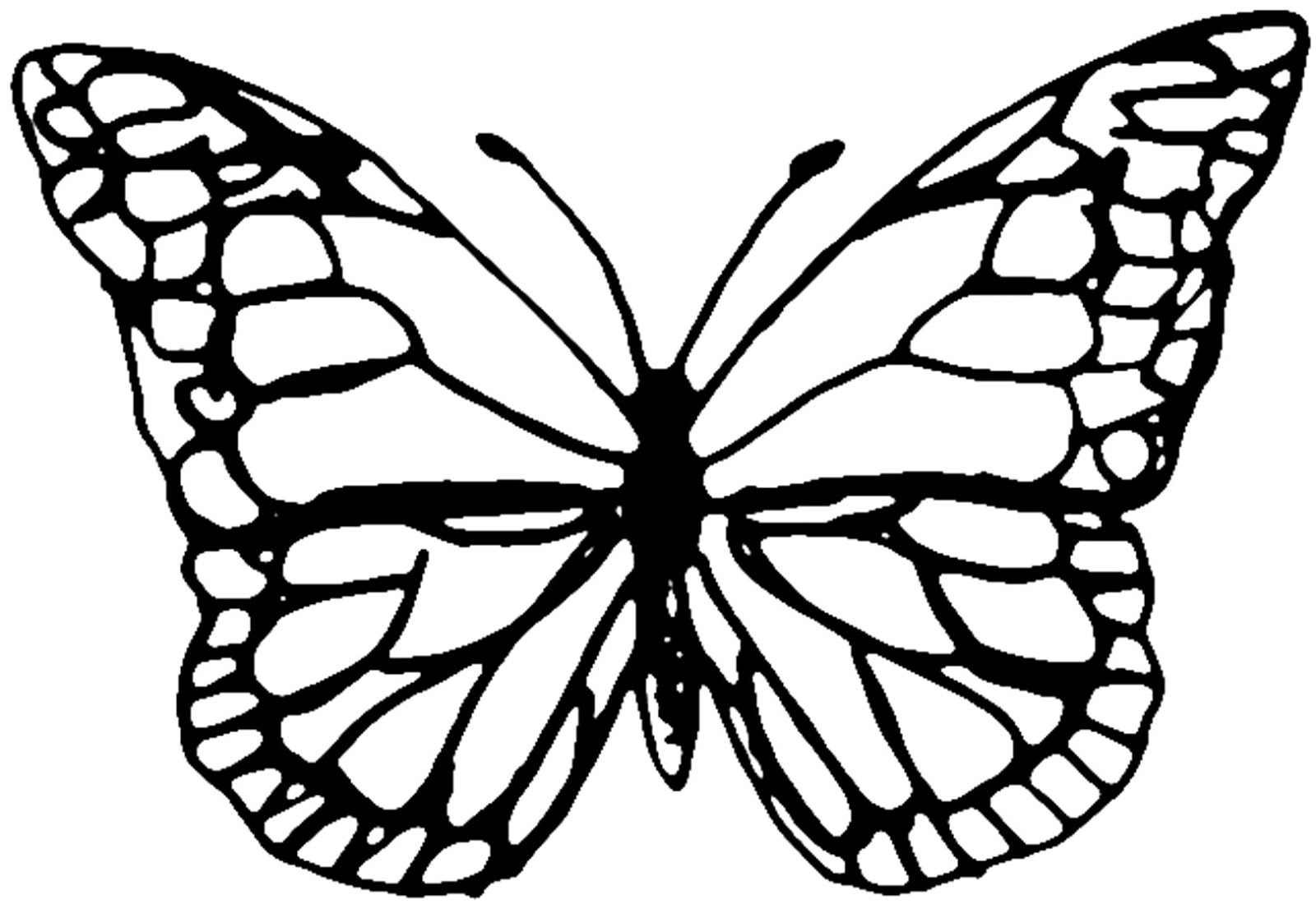 Free Printable Large Butterfly Template Printable Templates