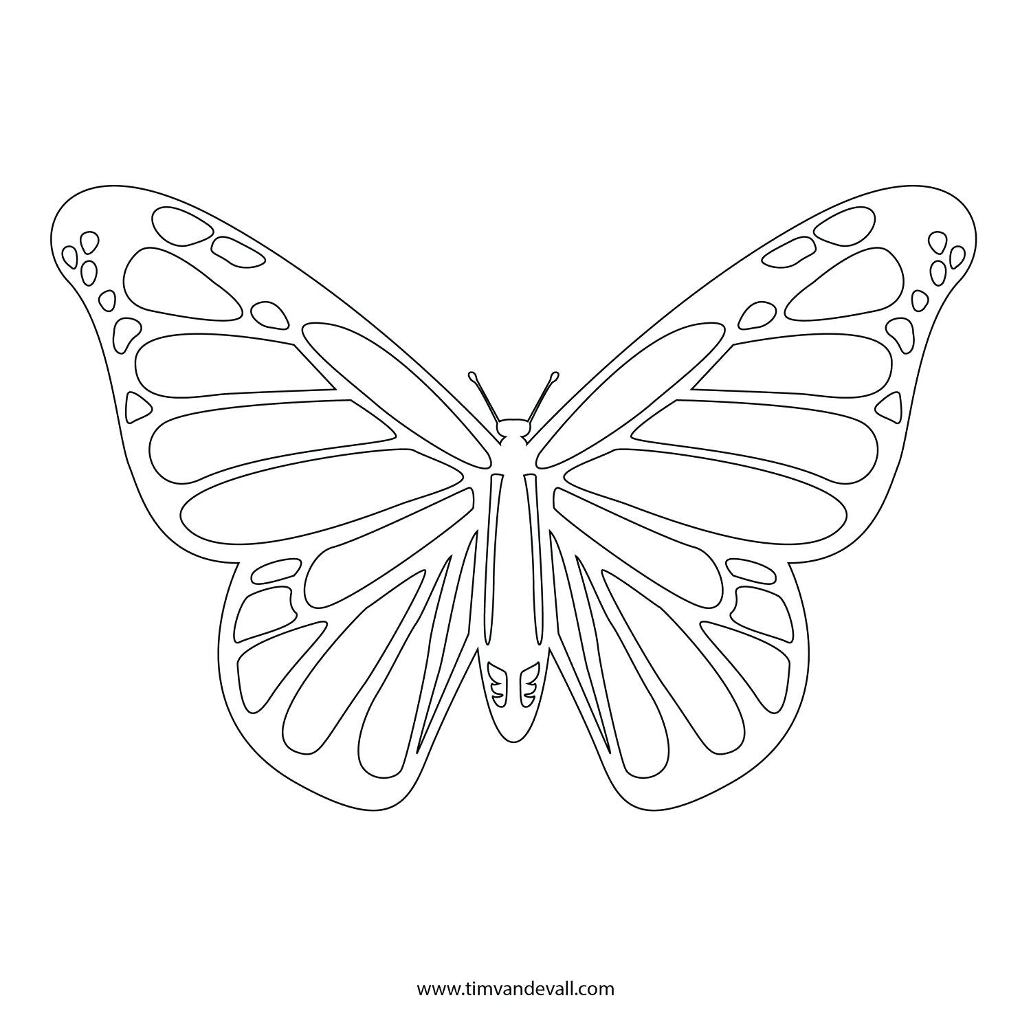 vector-butterfly-vector-set-mykinglist-butterfly-stencil