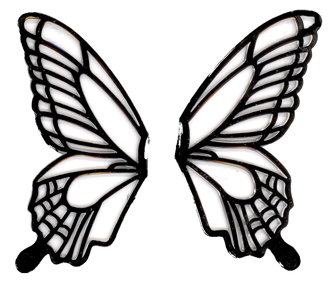 Amazing How To Draw Butterfly Wings  Check it out now 