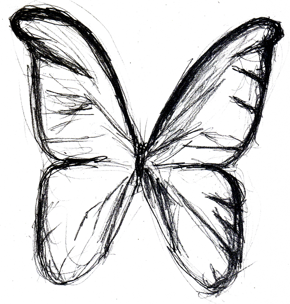 butterfly sketch line draiwng