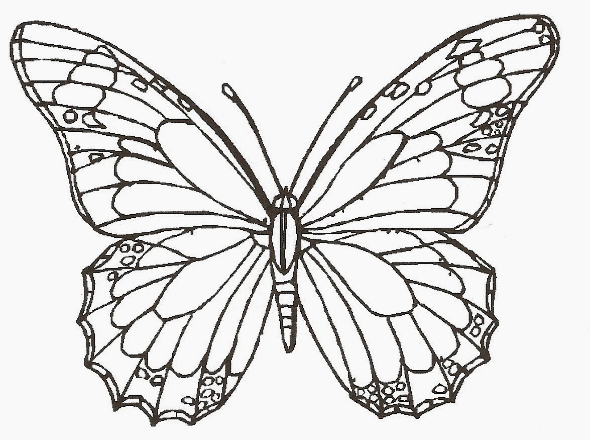 Butterfly Line Drawing at GetDrawings | Free download