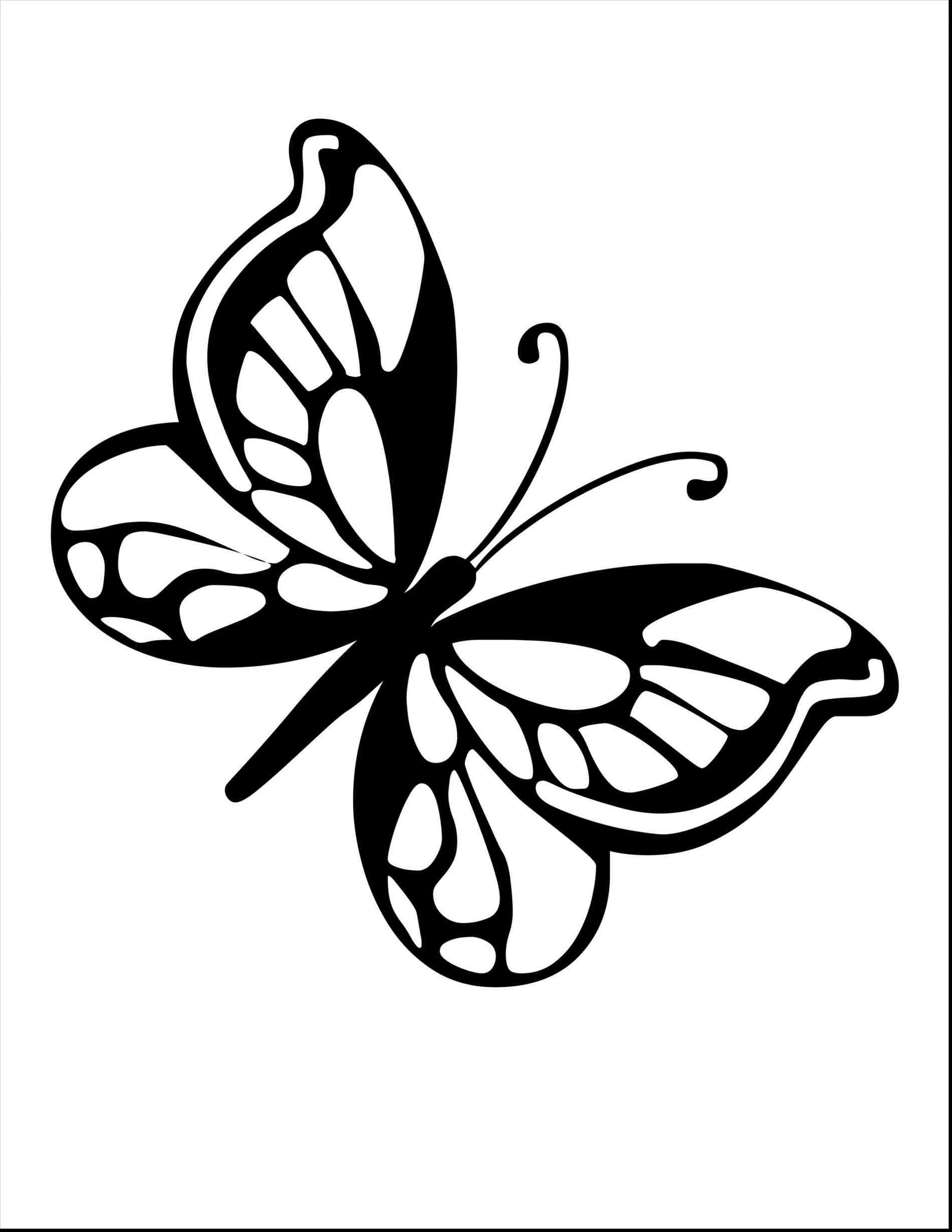 butterfly-line-drawing-images-at-getdrawings-free-download