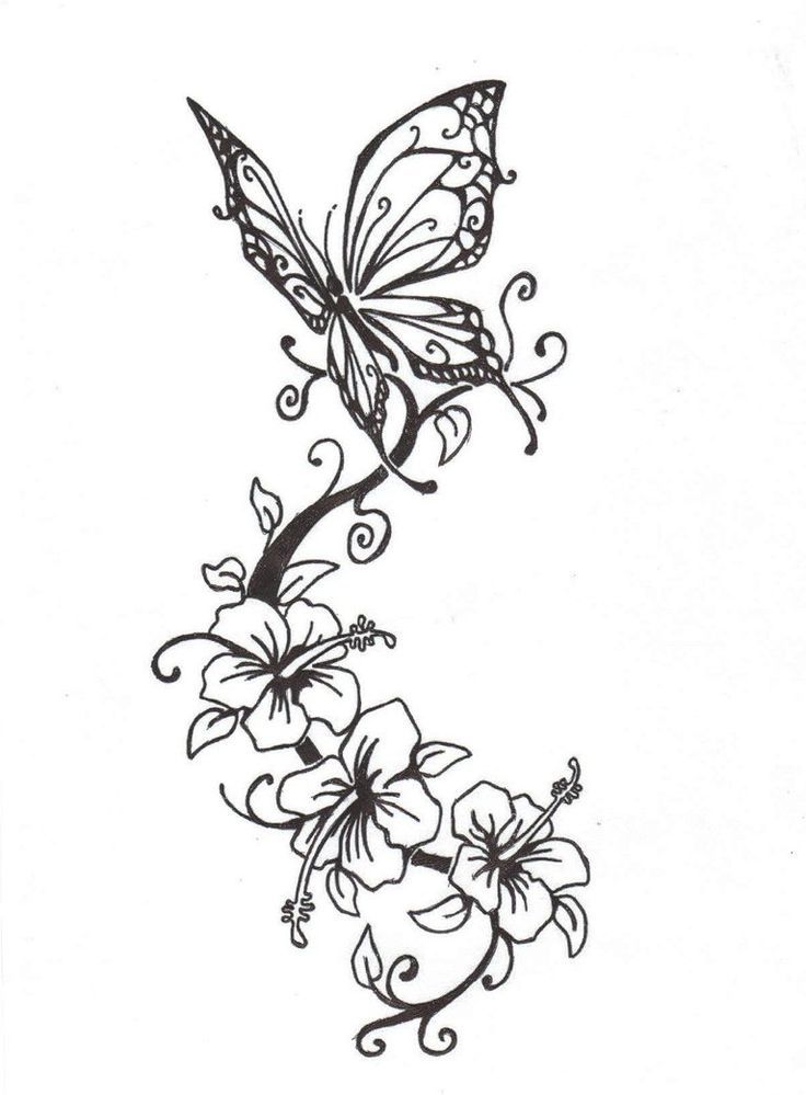 rose and butterfly sketch
