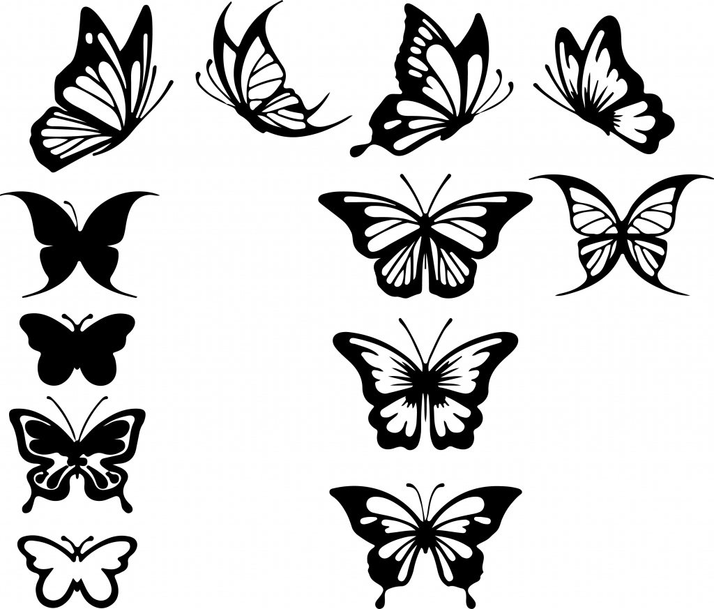 Butterfly Outline Drawing at GetDrawings | Free download
