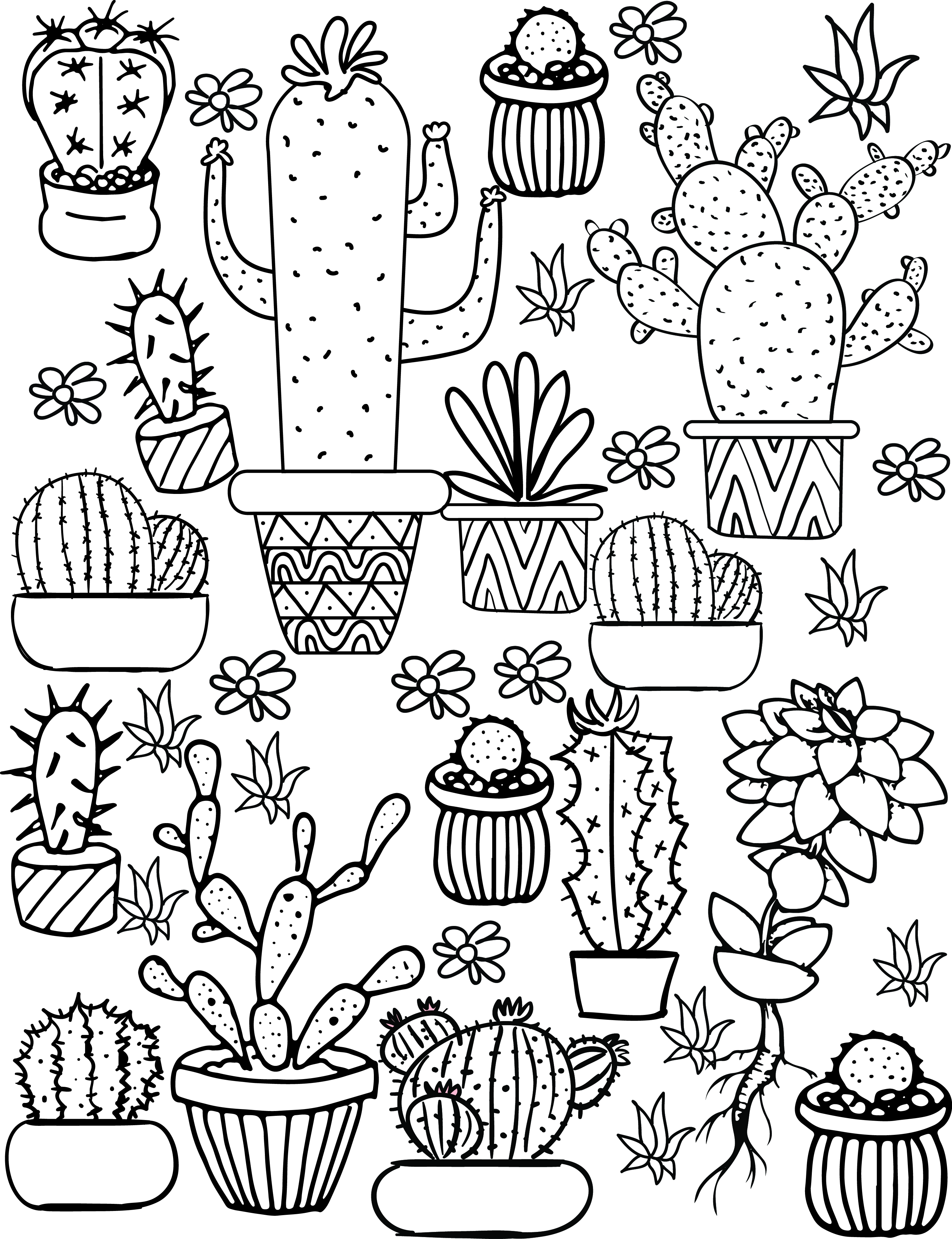 Cactus Drawing At GetDrawings Free Download