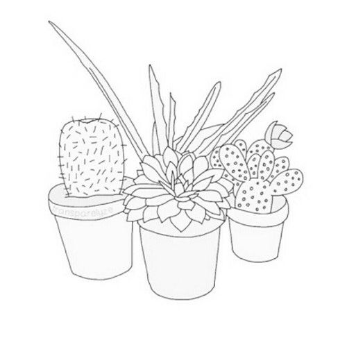 Cactus Drawing Outline at GetDrawings | Free download