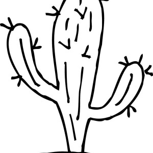 Cactus Drawing Outline at GetDrawings | Free download