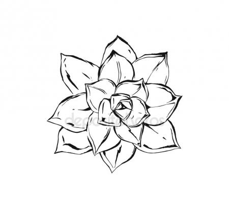 Cactus Flower Drawing at GetDrawings | Free download