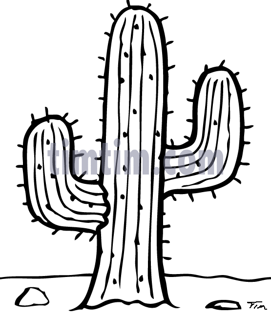 Cactus Line Drawing at GetDrawings | Free download