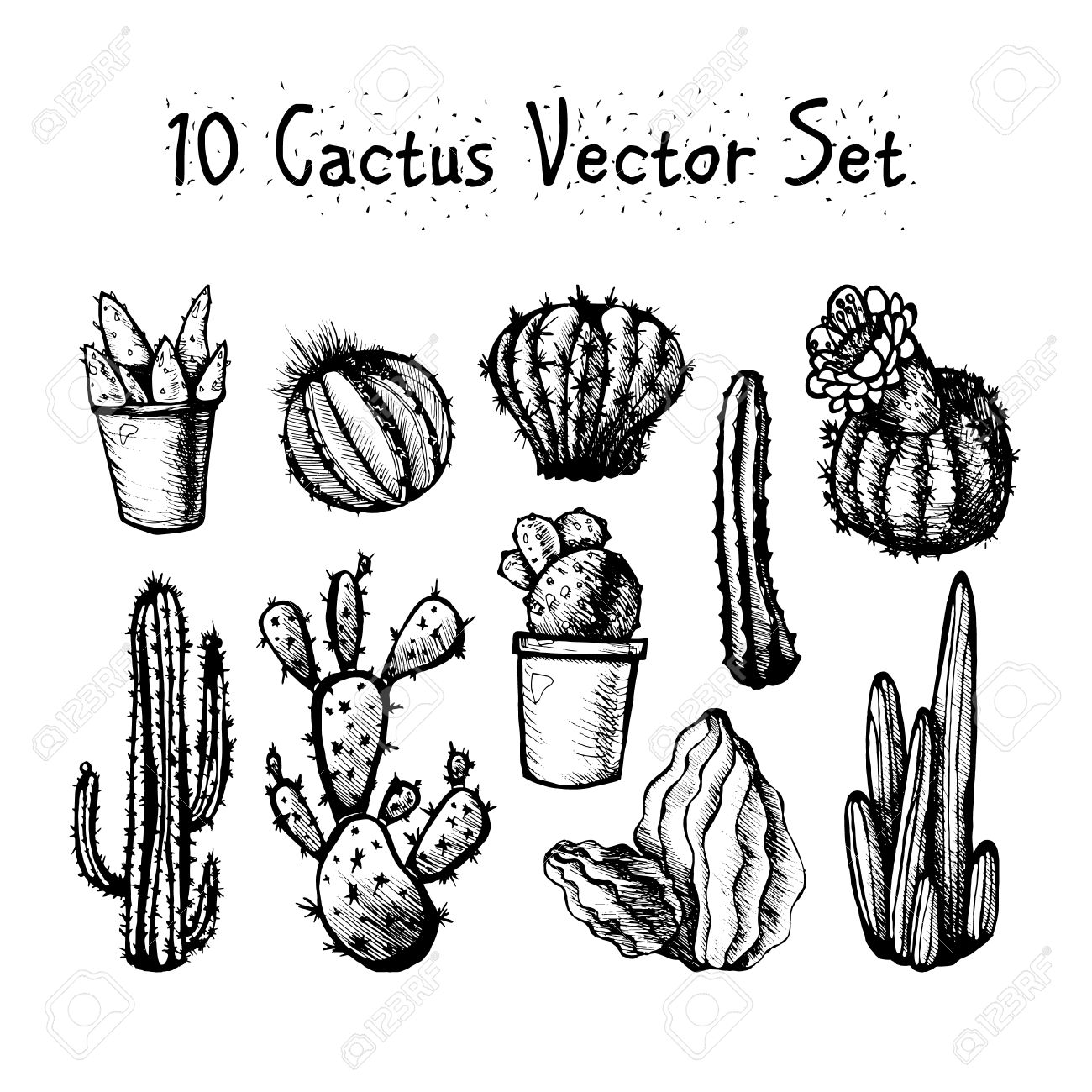Cactus Line Drawing at GetDrawings Free download