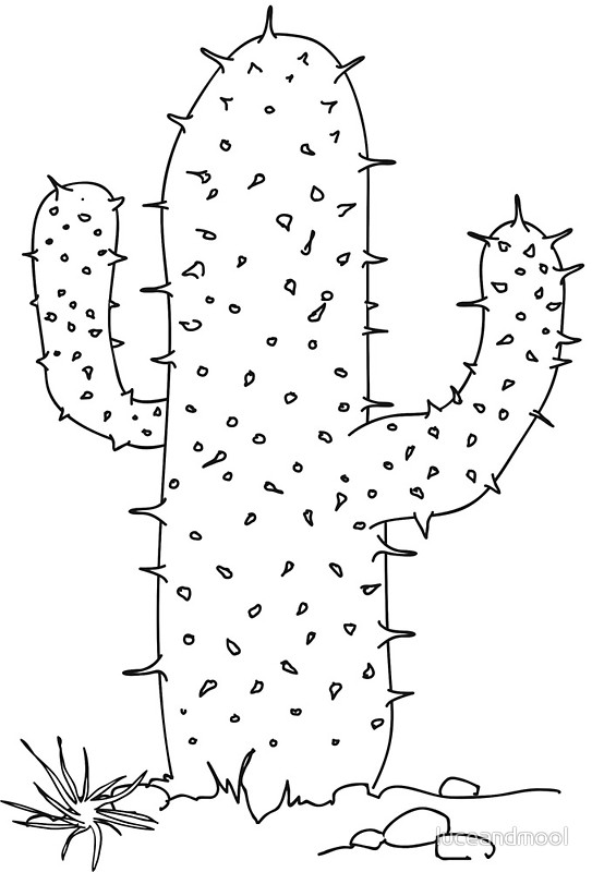 Cactus Line Drawing at GetDrawings | Free download