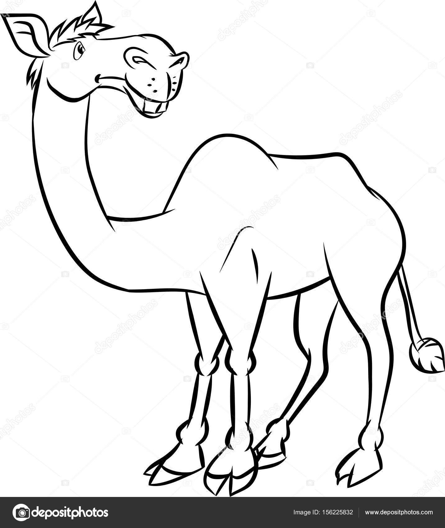 Camel Cartoon Drawing at GetDrawings | Free download