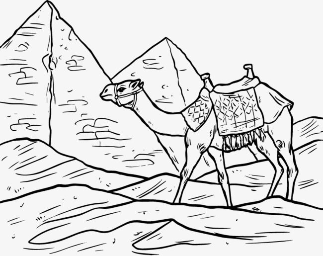 Camel Line Drawing at GetDrawings | Free download