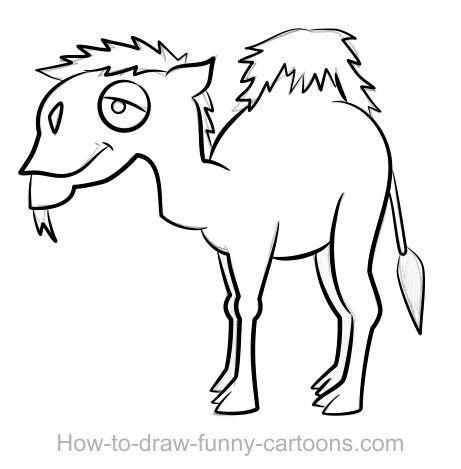 Camel Line Drawing at GetDrawings | Free download