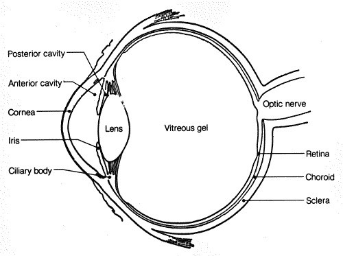 Camera Lens Drawing at GetDrawings | Free download