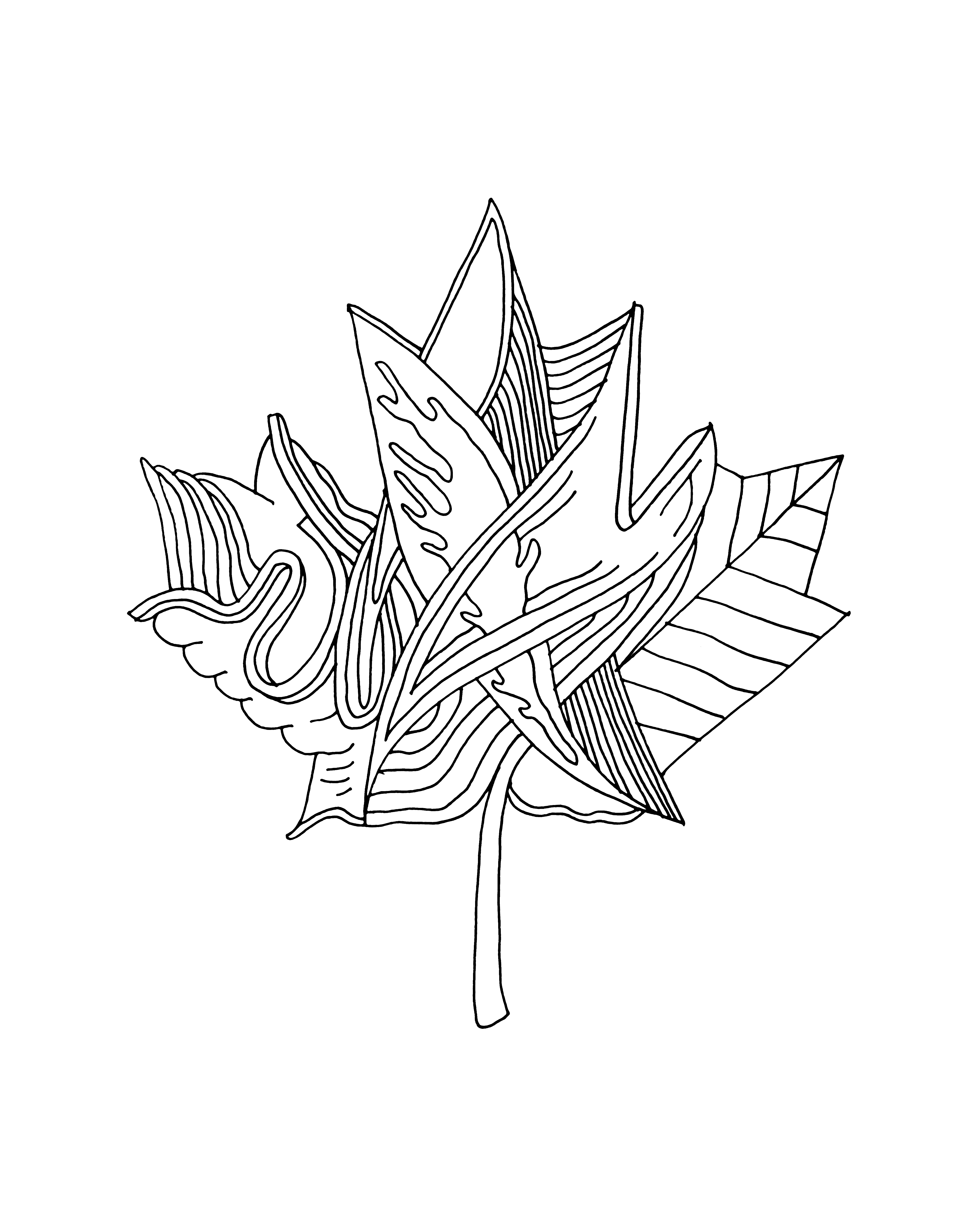 Эскиз логотипа кленовый лист