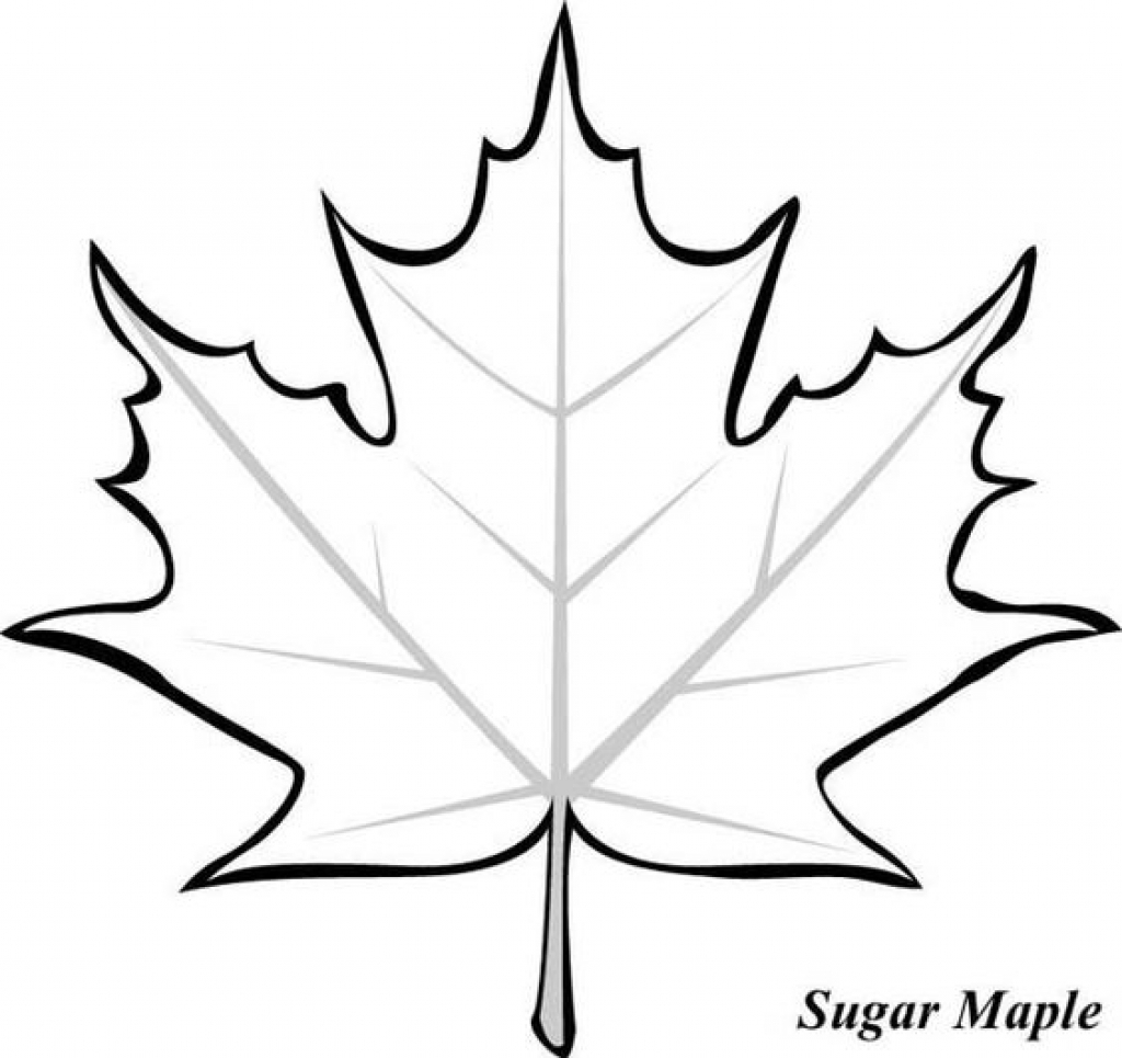 canadian-maple-leaf-drawing-at-getdrawings-free-download