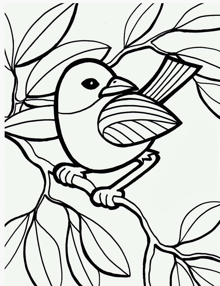 Carolina Wren Drawing at GetDrawings | Free download