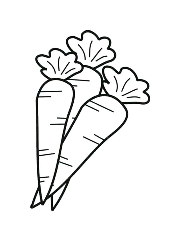 Carrot Cake Drawing at GetDrawings | Free download